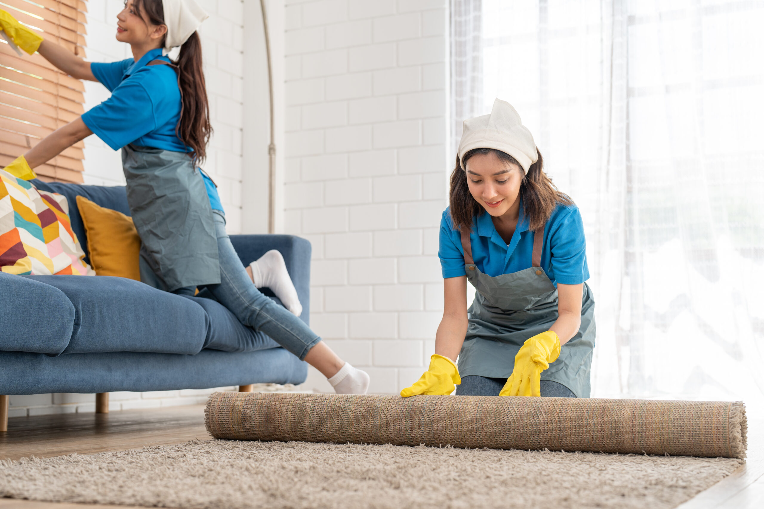 Professional Carpet Care